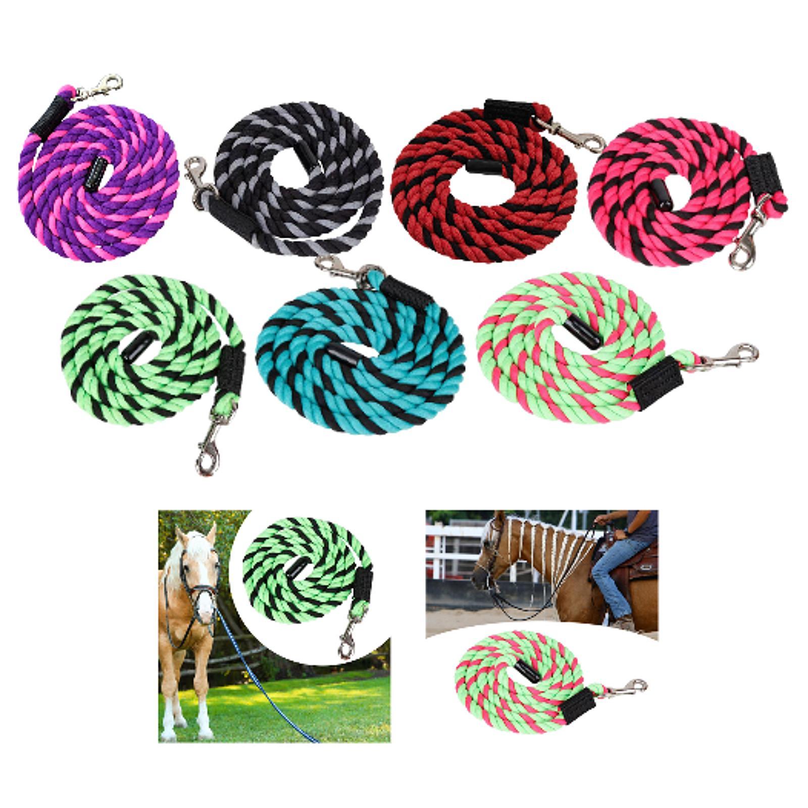 Corda de Guia para Cavalo com  - Lunge Line Horse avaliação e preço