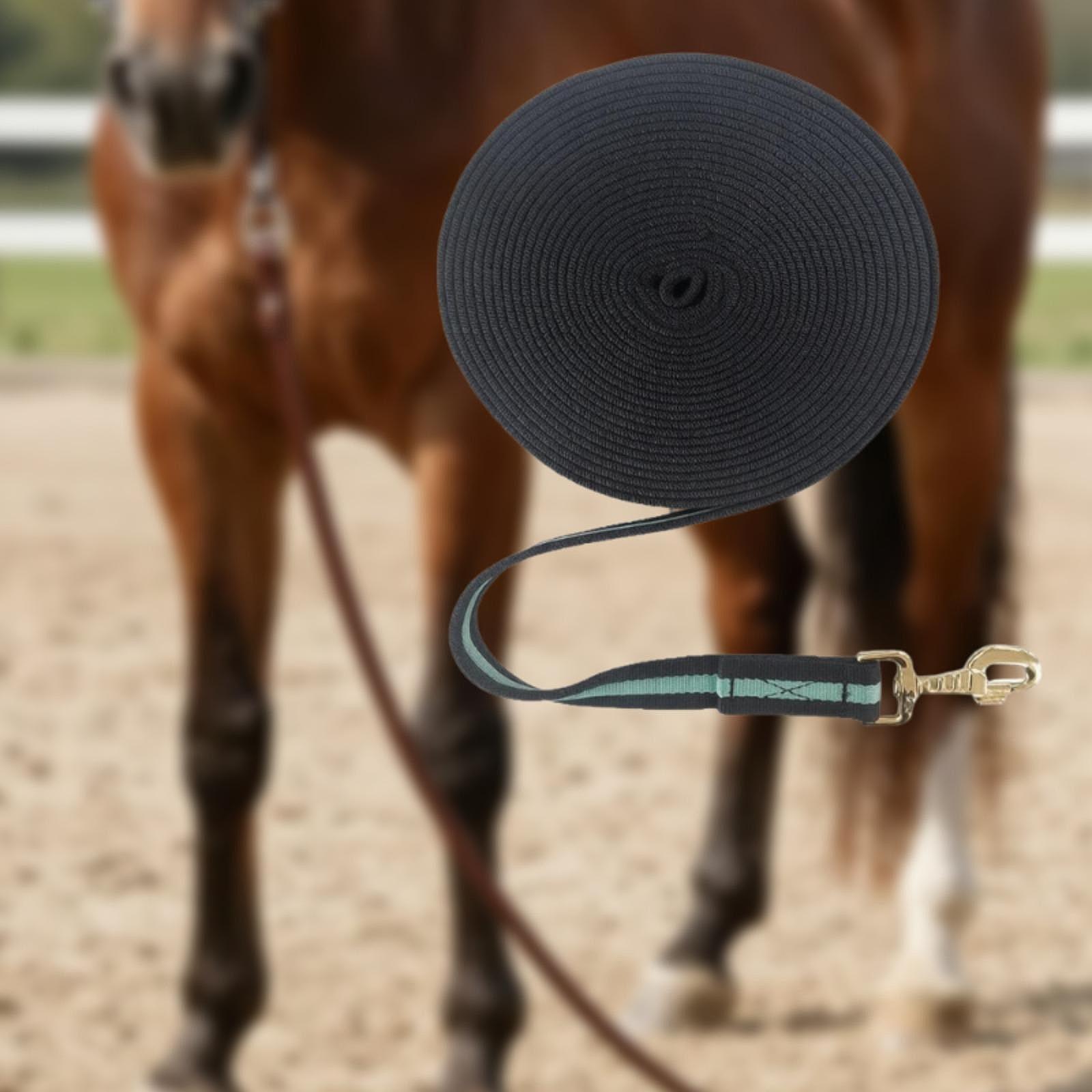 Corda Longa para Treinamento d - Lunge Line Horse avaliação e preço