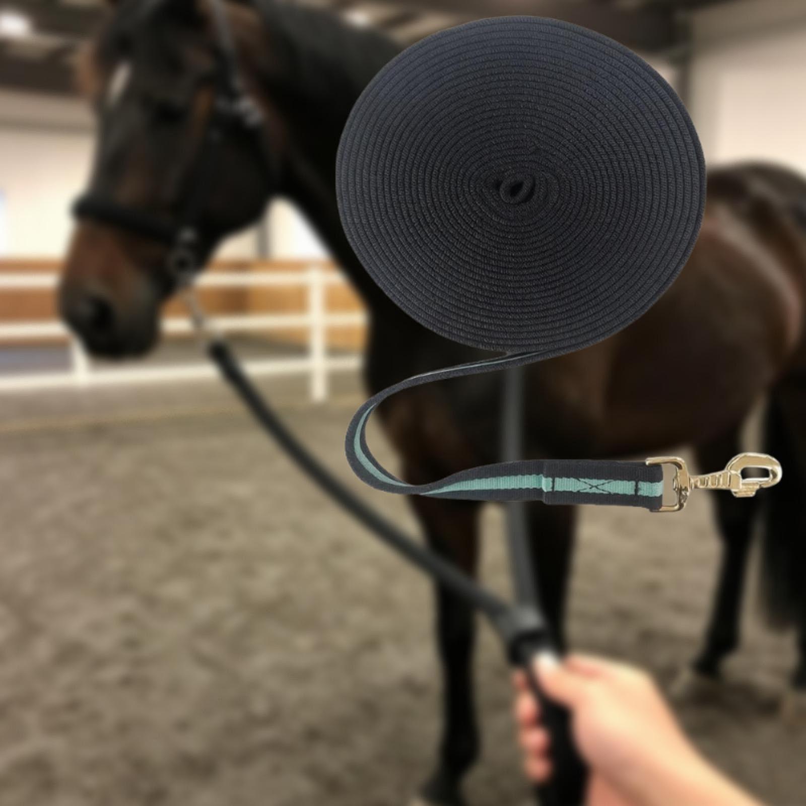 Corda Longa para Treinamento d - Lunge Line Horse avaliação e preço