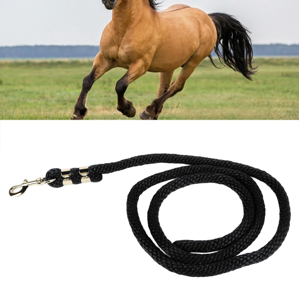 Corda de Lunge para Cavalos em - Lunge Line Horse avaliação e preço