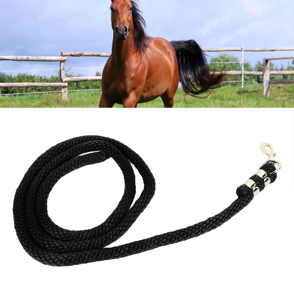 Corda de Lunge para Cavalos em - Lunge Line Horse avaliação e preço