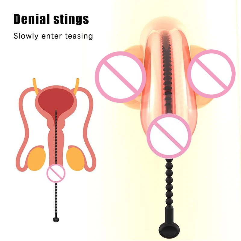 Dilatador Uretral de Silicone  - Lunge Line Horse avaliação e preço