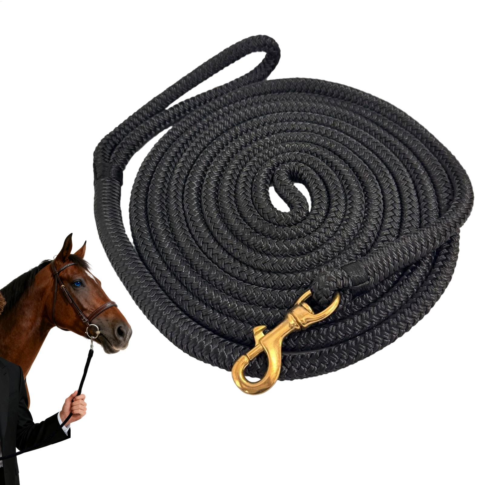 Corda de Lunge para Cavalos de - Lunge Line Horse avaliação e preço